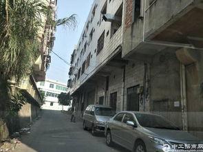 东城温塘网红,网红打卡地的魅力之旅