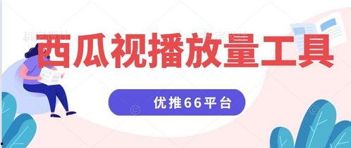 头条和西瓜视频,内容盛宴背后的创新与竞争