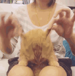 抖音上重庆网红胖胖的