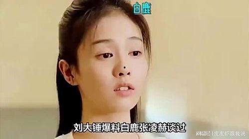 刘大锤爆料最新白鹿视频,精彩瞬间大盘点